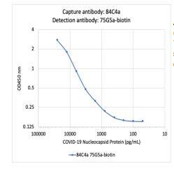 ELISA: SARS-CoV-2 Nucleocapsid Antibody (84C4a) [NBP3-07041] - A sandwich ELISA was performed using SARS-CoV-2 (COVID-19) Nucleocapsid Protein (NP) specific rabbit monoclonal antibodies: 84C4a as a capture antibody and75G5a-biotin as a detection antibody. COVID-19 NP was serially diluted 1:2 starting at 25 ng/mL. Rabbit monoclonal antibodies 84C4a and 75G5a-biotin detectedCOVID-19 NP antigen at very high sensitivity as low as 49 pg/mL (4.9 pg).