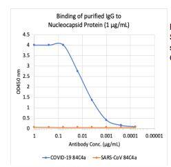 ELISA: SARS-CoV-2 Nucleocapsid Antibody (84C4a) [NBP3-07041] - Microtiter wells were coated with SARS-CoV-2 (COVID-19) Nucleocapsid Protein (NP) and SARS-CoV NP at 1 ug/mL. Purified rabbit monoclonal antibody 84C4a wasserially diluted 1:2 starting at 1 ug/mL, and shows very strong and specific binding to COVID-19 NP antigen, with no significant cross-reactivity to SARS-CoV NP antigen.