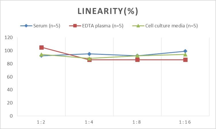 ELISA Rat EGR2 ELISA Kit (Colorimetric)