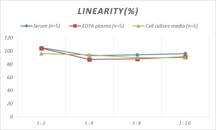 ELISA: Mouse EGR3 ELISA Kit (Colorimetric) [NBP3-08113] - Samples were spiked with high concentrations of Mouse EGR3 and diluted with Reference Standard & Sample Diluent to produce samples with values within the range of the assay.