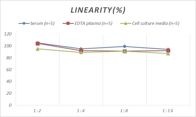 ELISA: Rat EGR3 ELISA Kit (Colorimetric) [NBP3-08114] - Samples were spiked with high concentrations of Rat EGR3 and diluted with Reference Standard & Sample Diluent to produce samples with values within the range of the assay.