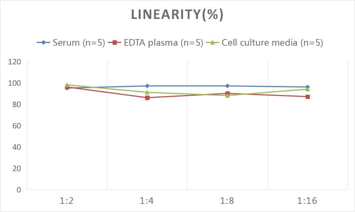 ELISA: Rat Follistatin ELISA Kit (Colorimetric) [NBP3-08120] - Samples were spiked with high concentrations of Rat Follistatin and diluted with Reference Standard & Sample Diluent to produce samples with values within the range of the assay.