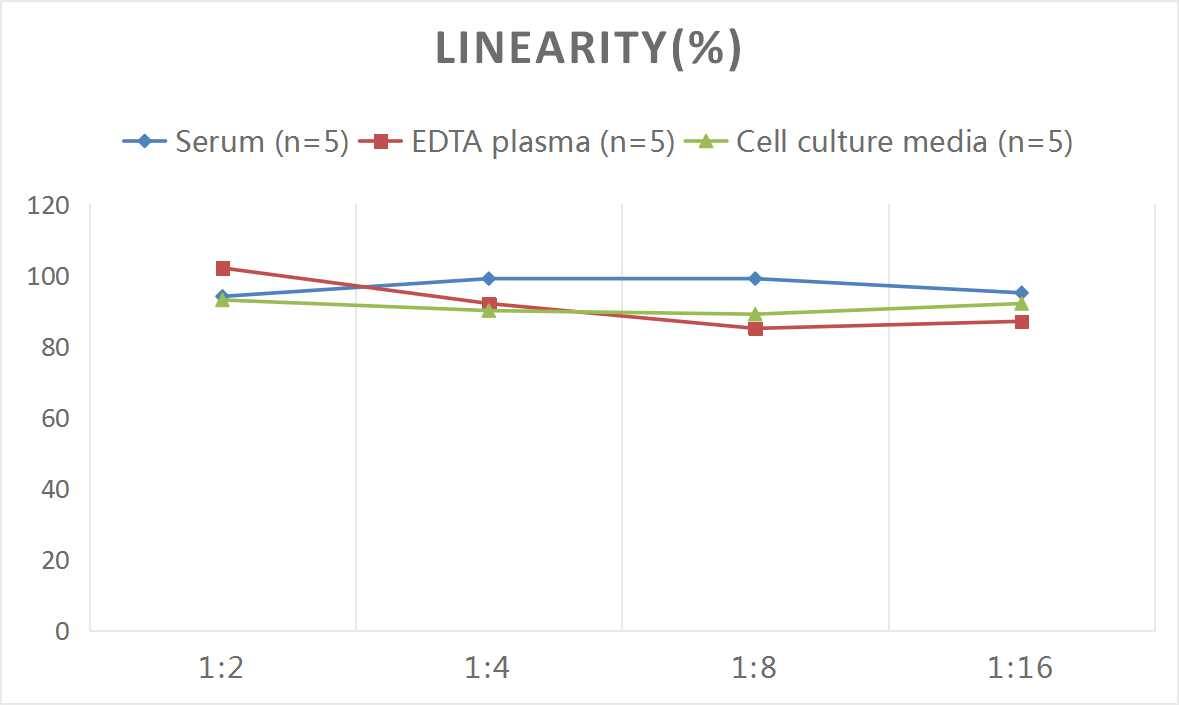 ELISA: Human BMP-3b/GDF-10 ELISA Kit (Colorimetric) [NBP3-08125] - Samples were spiked with high concentrations of Human BMP-3b/GDF-10 and diluted with Reference Standard & Sample Diluent to produce samples with values within the range of the assay.