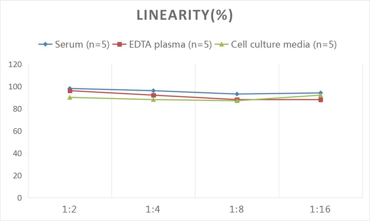 ELISA: Mouse BMP-3b/GDF-10 ELISA Kit (Colorimetric) [NBP3-08126] - Samples were spiked with high concentrations of Mouse BMP-3b/GDF-10 and diluted with Reference Standard & Sample Diluent to produce samples with values within the range of the assay.