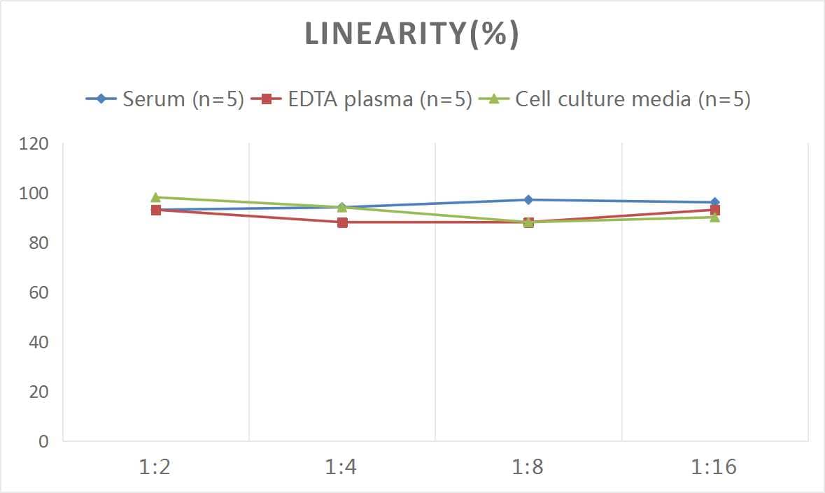 ELISA: Human GDF-3 ELISA Kit (Colorimetric) [NBP3-08130] - Samples were spiked with high concentrations of Human GDF-3 and diluted with Reference Standard & Sample Diluent to produce samples with values within the range of the assay.