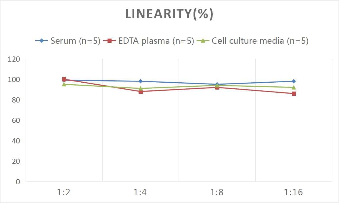 ELISA: Mouse GDF-3 ELISA Kit (Colorimetric) [NBP3-08131] - Samples were spiked with high concentrations of Mouse GDF-3 and diluted with Reference Standard & Sample Diluent to produce samples with values within the range of the assay.