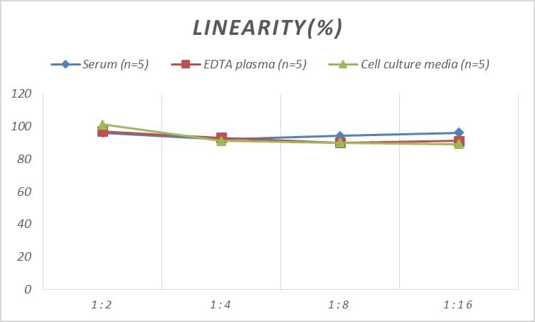 ELISA: Rat GDF-6/BMP-13 ELISA Kit (Colorimetric) [NBP3-08137] - Samples were spiked with high concentrations of Rat GDF-6/BMP-13 and diluted with Reference Standard & Sample Diluent to produce samples with values within the range of the assay.