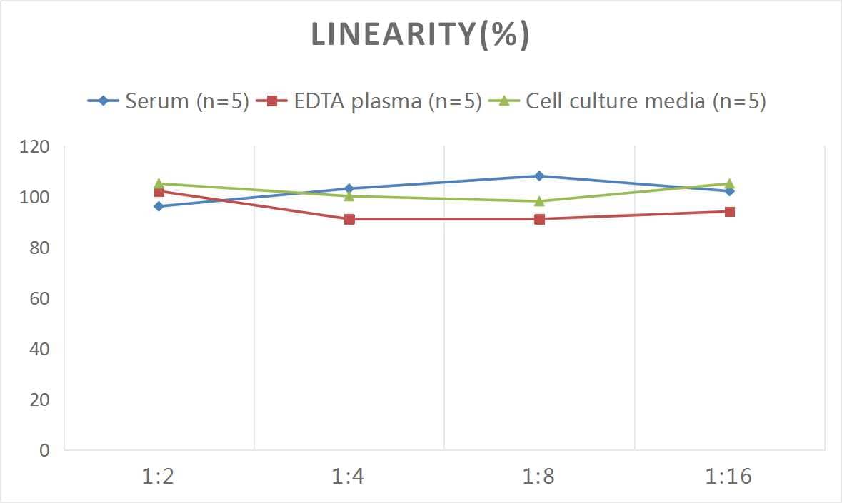 ELISA: Rat CCL4/MIP-1 beta ELISA Kit (Colorimetric) [NBP3-08149] - Samples were spiked with high concentrations of Rat CCL4/MIP-1 beta and diluted with Reference Standard & Sample Diluent to produce samples with values within the range of the assay.