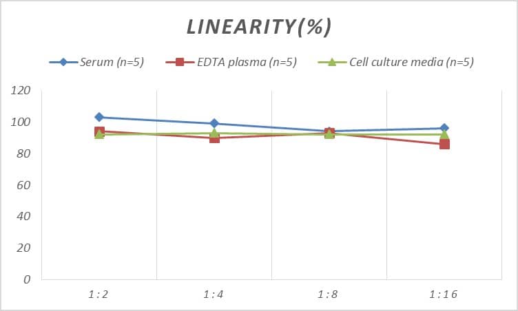 ELISA: Human MMR/CD206/Mannose Receptor ELISA Kit (Colorimetric) [NBP3-08151] - Samples were spiked with high concentrations of Human MMR/CD206/Mannose Receptor and diluted with Reference Standard & Sample Diluent to produce samples with values within the range of the assay.