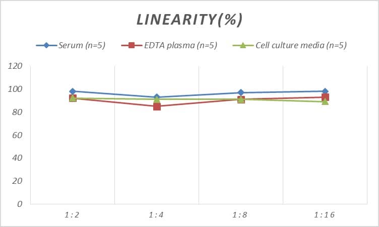 ELISA: Rat MMR/CD206/Mannose Receptor ELISA Kit (Colorimetric) [NBP3-08152] - Samples were spiked with high concentrations of Rat MMR/CD206/Mannose Receptor and diluted with Reference Standard & Sample Diluent to produce samples with values within the range of the assay.