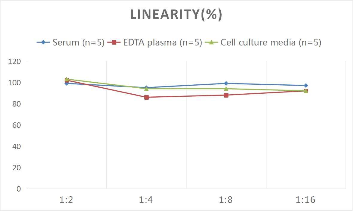 ELISA: Rat TFF3 ELISA Kit (Colorimetric) [NBP3-08181] - Samples were spiked with high concentrations of Rat TFF3 and diluted with Reference Standard & Sample Diluent to produce samples with values within the range of the assay.