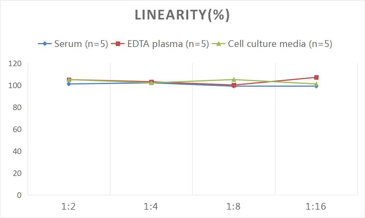 ELISA: Monkey Thrombomodulin/BDCA-3 ELISA Kit (Colorimetric) [NBP3-08185] - Samples were spiked with high concentrations of Monkey Thrombomodulin/BDCA-3 and diluted with Reference Standard & Sample Diluent to produce samples with values within the range of the assay.