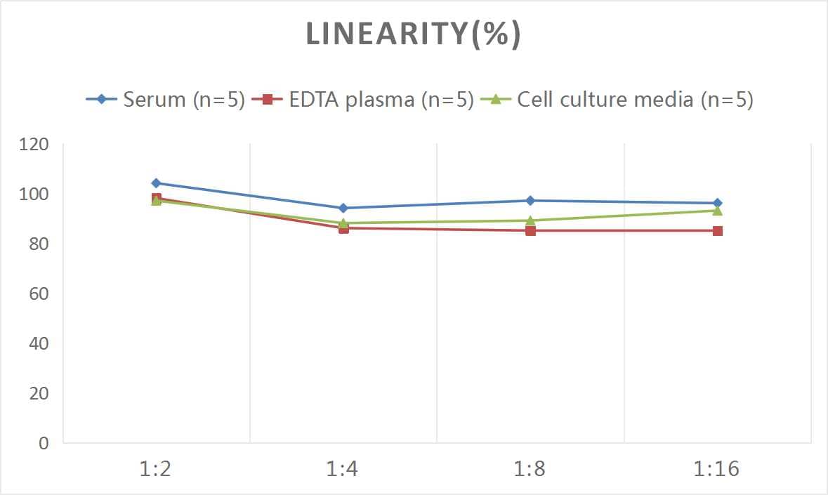 ELISA: Rat Thrombomodulin/BDCA-3 ELISA Kit (Colorimetric) [NBP3-08186] - Samples were spiked with high concentrations of Rat Thrombomodulin/BDCA-3 and diluted with Reference Standard & Sample Diluent to produce samples with values within the range of the assay.