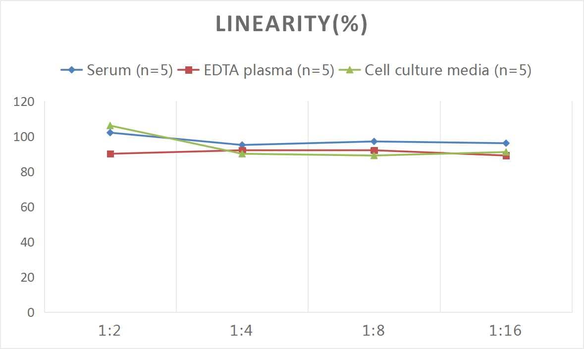 ELISA: Mouse Transthyretin/Prealbumin ELISA Kit (Colorimetric) [NBP3-08188] - Samples were spiked with high concentrations of Mouse Transthyretin/Prealbumin and diluted with Reference Standard & Sample Diluent to produce samples with values within the range of the assay.