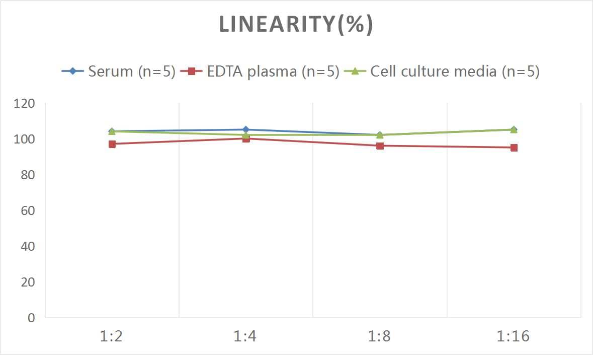 ELISA: Monkey Transthyretin/Prealbumin ELISA Kit (Colorimetric) [NBP3-08189] - Samples were spiked with high concentrations of Monkey Transthyretin/Prealbumin and diluted with Reference Standard & Sample Diluent to produce samples with values within the range of the assay.