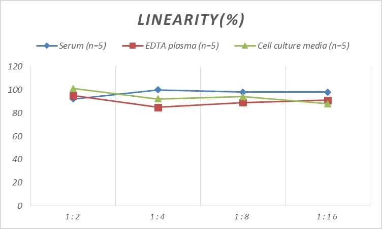 ELISA: Rat Transthyretin/Prealbumin ELISA Kit (Colorimetric) [NBP3-08190] - Samples were spiked with high concentrations of Rat Transthyretin/Prealbumin and diluted with Reference Standard & Sample Diluent to produce samples with values within the range of the assay.