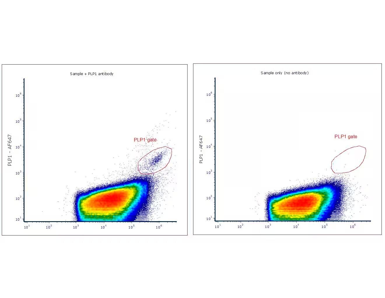 Flow Cytometry: Myelin PLP Antibody (PLP1/4259) [Alexa Fluor® 647] [NBP3-08534AF647] - Total extracellular vesicles with Myelin PLP Antibody (PLP1/4259) [Alexa Fluor® 647] (left). Gate determined vesicles positive for PLP1 antibody ranging from 500-800nm size. Image on the right represents the same sample without antibody. 10ul of pre-isolated extracellular vesicles were incubated with 2ul of Myelin PLP Antibody (PLP1/4259) [Alexa Fluor® 647] , during 20 minutes at room temperature, and analyzed in nanoscale flow cytometer able to resolve particles scattering as little as 100um. Image from a verified customer review.