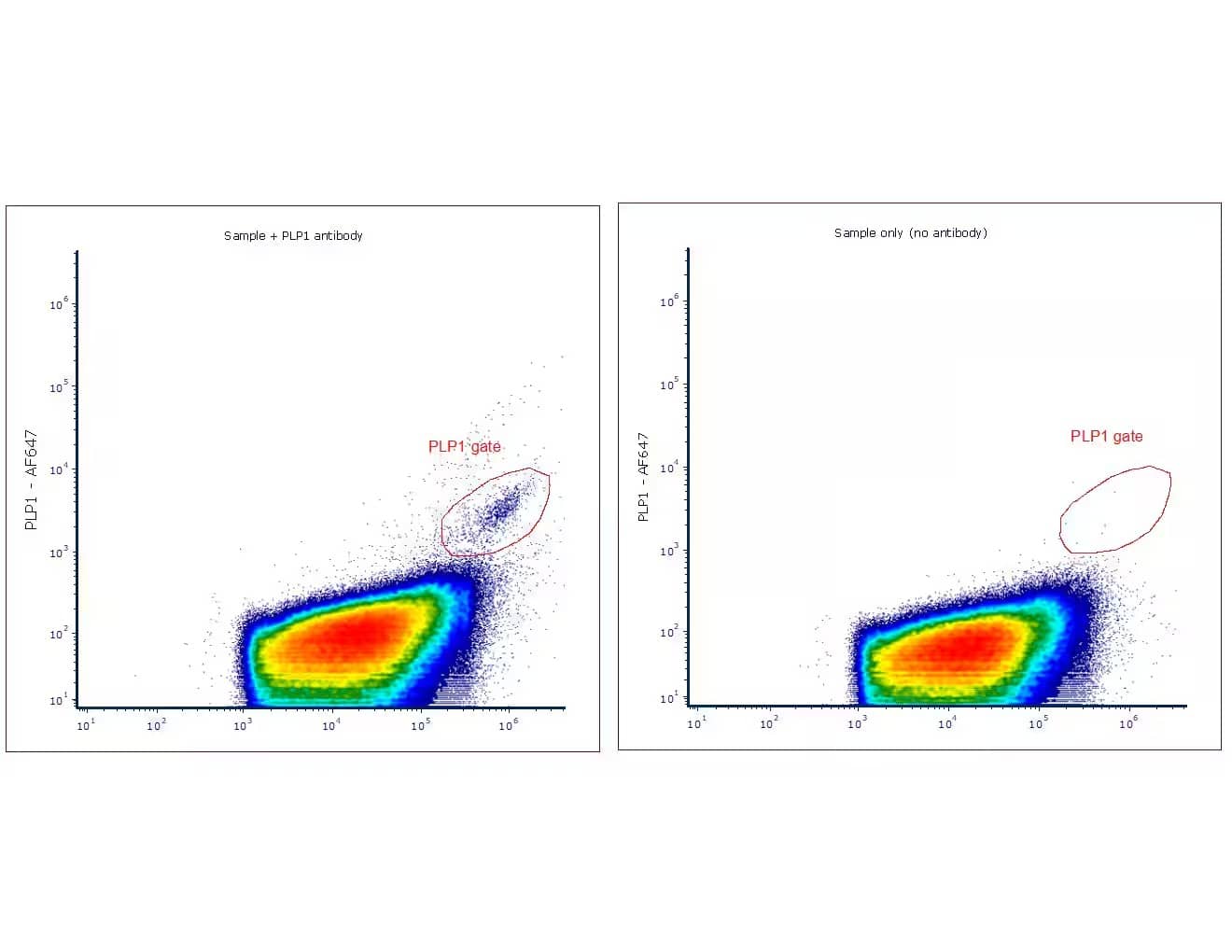 Flow Cytometry: Myelin PLP Antibody (PLP1/4259) [Janelia Fluor® 525] [NBP3-08534JF525] - Total extracellular vesicles with Myelin PLP Antibody (PLP1/4259) [Alexa Fluor® 647] (Catalog # NBP3-08534AF647) (left). Gate determined vesicles positive for PLP1 antibody ranging from 500-800nm size. Image on the right represents the same sample without antibody. 10ul of pre-isolated extracellular vesicles were incubated with 2ul of Myelin PLP Antibody (PLP1/4259) [Alexa Fluor® 647] , during 20 minutes at room temperature, and analyzed in nanoscale flow cytometer able to resolve particles scattering as little as 100um. Image from a verified customer review.