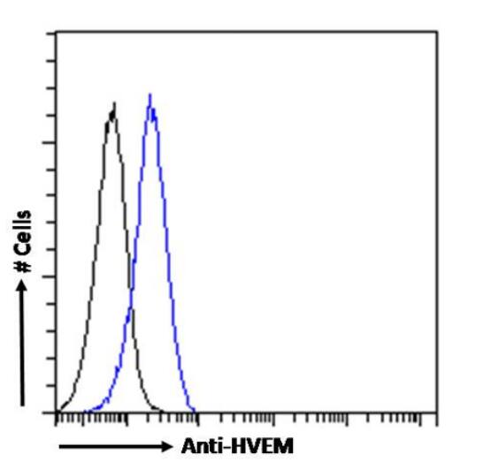 Flow Cytometry: HVEM/TNFRSF14 Antibody (HMHV-1B18) - Chimeric - Azide and BSA Free [NBP3-09029] - Paraformaldehyde fixed mouse splenocytes permeabilized with 0.5% Triton were stained with anti-unknown specificity antibody (isotype control, black line) or NBP3-09029 (blue line) at a dilution of 1:100 for 1h at RT. After washing, the bound antibody was detected using a goat anti-rabbit IgG AlexaFluor 488 antibody at a dilution of 1:1000 and cells analyzed using a FACSCanto flow-cytometer.