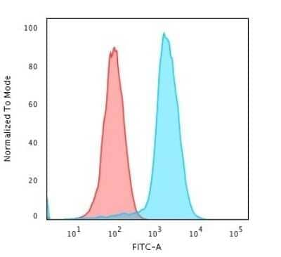 Flow Cytometry: Fascin Antibody (SPM133) - Azide and BSA Free [NBP3-11444] - Flow Cytometric Analysis of PFA-fixed K562 cells using Fascin Antibody (SPM133) followed by Goat anti-Mouse IgG-CF488 (Blue); Isotype Control (Red)