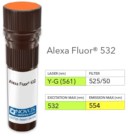 CD45RA Antibody (SPM504) [Alexa Fluor® 532] [NBP3-11502AF532] - Vial of Alexa Fluor 532 conjugated antibody. Alexa Fluor 532 is optimally excited at 532 nm by the Yellow-Green laser (561 nm) and has an emission maximum of 554 nm.