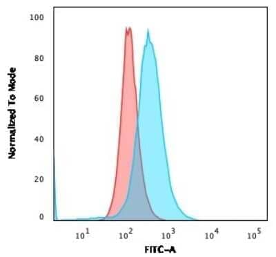 Flow Cytometry: CD84/SLAMF5 Antibody (153-4D9) - Azide and BSA Free [NBP3-11578] - Flow Cytometric Analysis of PFA-fixed MOLT4 cells. CD84/SLAMF5 Antibody (153-4D9) followed by goat anti-Mouse IgG-CF488 (Blue); Isotype Control (Red).