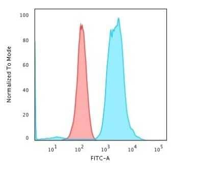 Flow Cytometry: Fascin Antibody (FSCN1/416) - Azide and BSA Free [NBP3-11582] - Flow Cytometric Analysis of PFA-fixed K562 cells using Fascin Antibody (FSCN1/416) followed by Goat anti-Mouse IgG-CF488 (Blue); Isotype Control (Red)