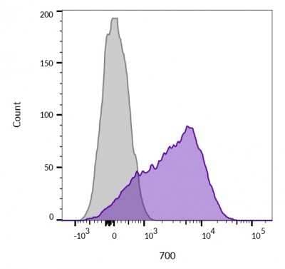 Flow Cytometry: CD45 Antibody (136-4B5) - Azide and BSA Free [NBP3-11595] - Flow Cytometric Analysis of live Jurkat cells unstained (grey) and CD45 MAb (136-4B5) conjugated with CF680 (purple).
