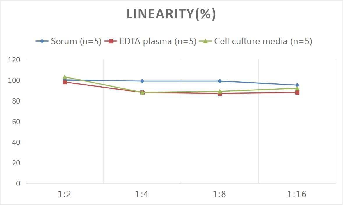 ELISA: Mouse Granzyme B ELISA Kit (Colorimetric) [NBP3-11787] - Samples were spiked with high concentrations of Mouse Granzyme B and diluted with Reference Standard & Sample Diluent to produce samples with values within the range of the assay.