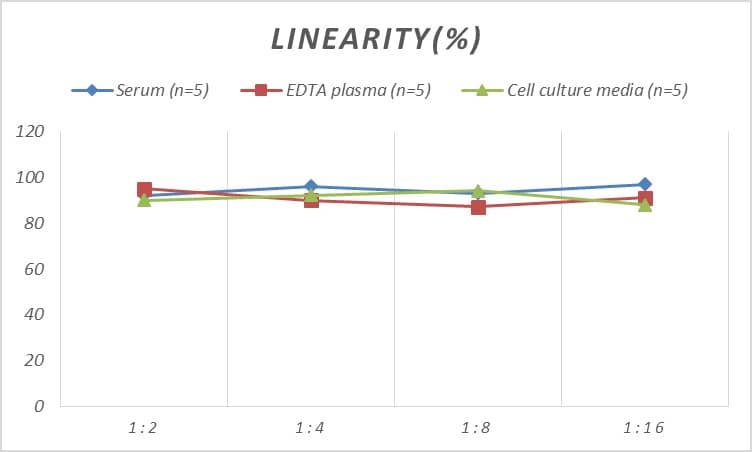 ELISA: Rat Granzyme B ELISA Kit (Colorimetric) [NBP3-11789] - Samples were spiked with high concentrations of Rat Granzyme B and diluted with Reference Standard & Sample Diluent to produce samples with values within the range of the assay.