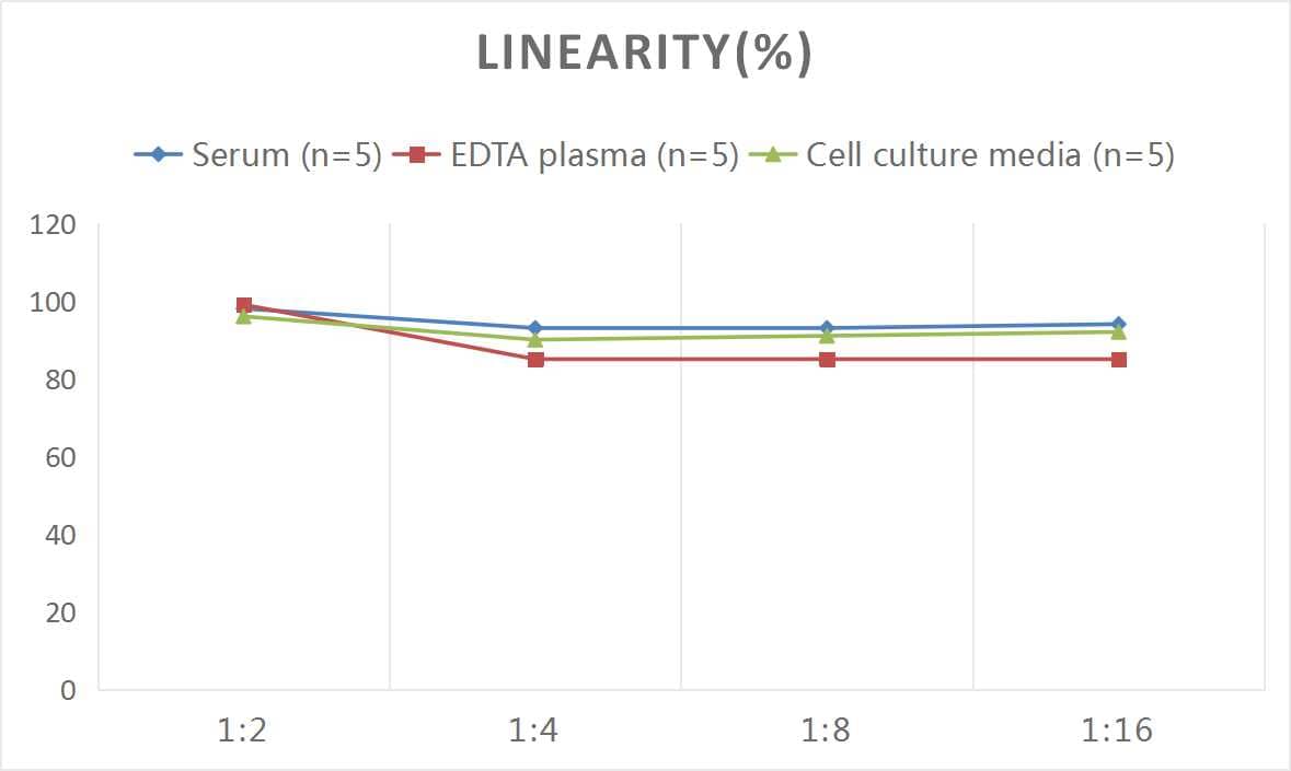 ELISA: Human Hyaluronidase 1/HYAL1 ELISA Kit (Colorimetric) [NBP3-11795] - Samples were spiked with high concentrations of Human Hyaluronidase 1/HYAL1 and diluted with Reference Standard & Sample Diluent to produce samples with values within the range of the assay.