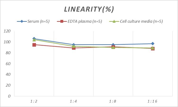 ELISA: Rat Hyaluronidase 1/HYAL1 ELISA Kit (Colorimetric) [NBP3-11797] - Samples were spiked with high concentrations of Rat Hyaluronidase 1/HYAL1 and diluted with Reference Standard & Sample Diluent to produce samples with values within the range of the assay.
