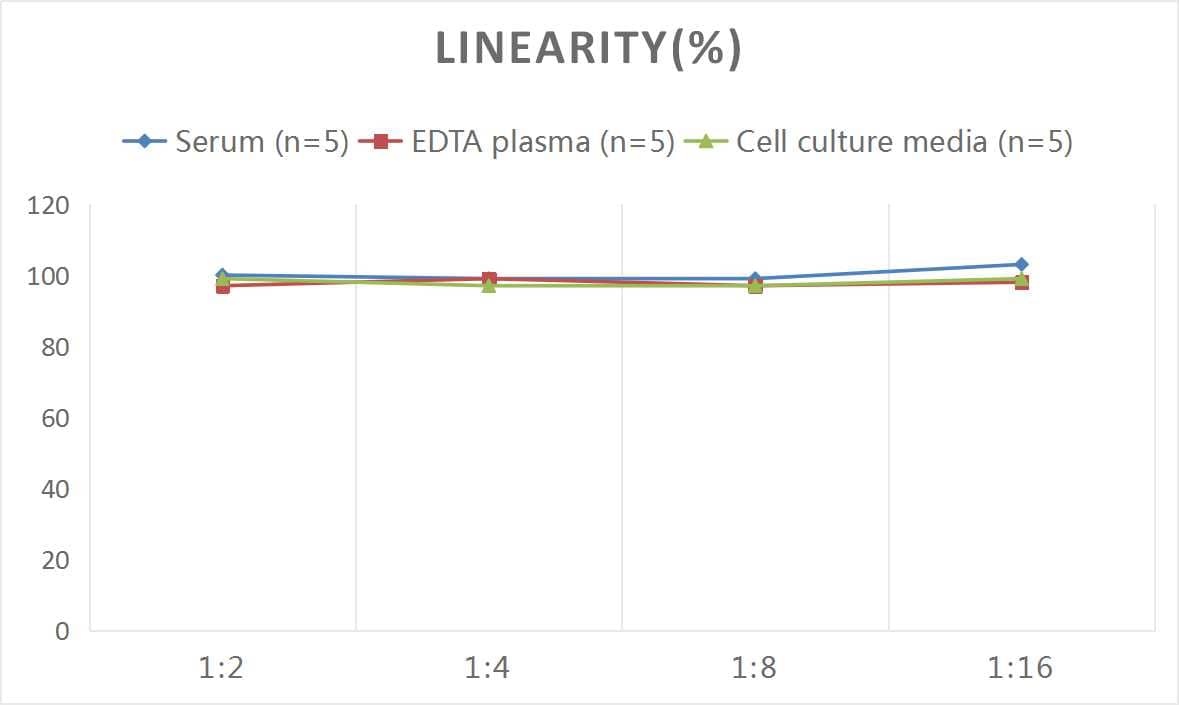 ELISA: Monkey Granzyme B ELISA Kit (Colorimetric) [NBP3-11808] - Samples were spiked with high concentrations of Monkey Granzyme B and diluted with Reference Standard & Sample Diluent to produce samples with values within the range of the assay.