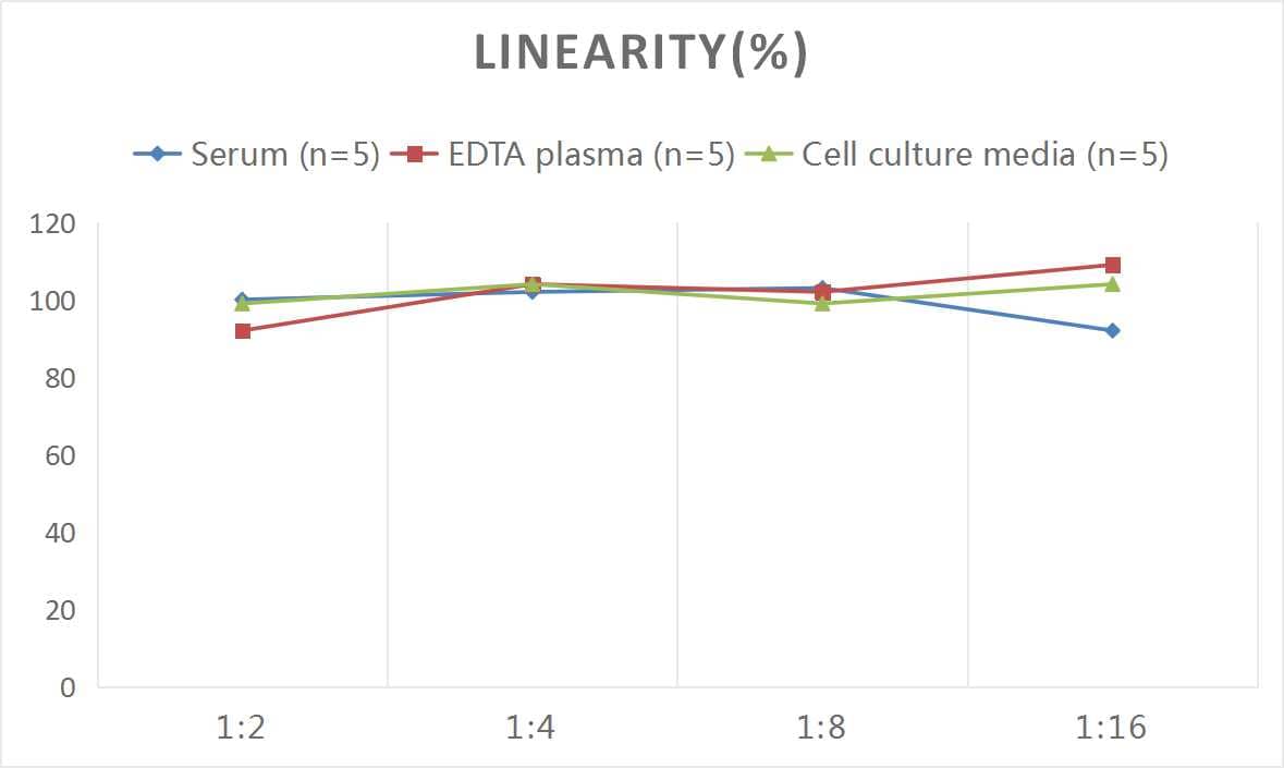 ELISA: Human NT-proBNP ELISA Kit (Chemiluminescence) [NBP3-11809] - Samples were spiked with high concentrations of Human NT-proBNP and diluted with Reference Standard & Sample Diluent to produce samples with values within the range of the assay.