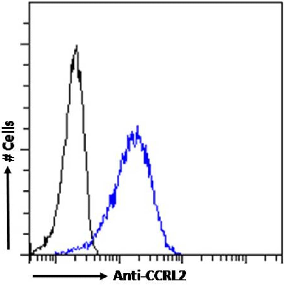 Flow Cytometry: Rabbit Monoclonal CCRL2/CRAM-A/B Antibody (BZ5B8) [NBP3-11970] - Flow cytometry analysis of RAW264.7 cells.