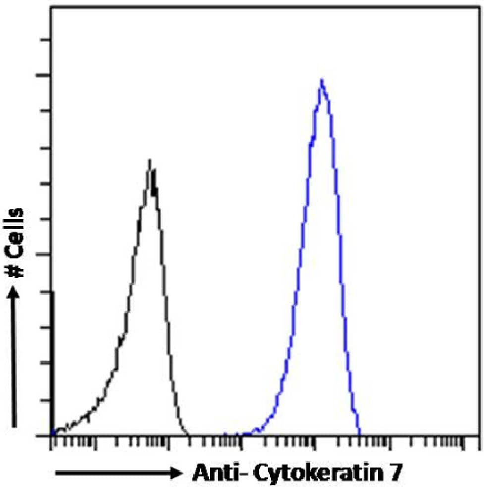 Flow Cytometry: Cytokeratin 7 Antibody (OV-TL 12/30) - Chimeric - Azide and BSA Free [NBP3-12014] - HeLa cells were fixed using 2% PFA and stained with anti-unknown specificity antibody (isotype control, black line) or NBP3-12014 (blue line) at a dilution of 1:100 for 1h at RT. After washing, the bound antibody was detected using a goat anti-rabbit IgG AlexaFluor 488 antibody at a dilution of 1:1000 and cells analyzed using a FACSCanto flow-cytometer.