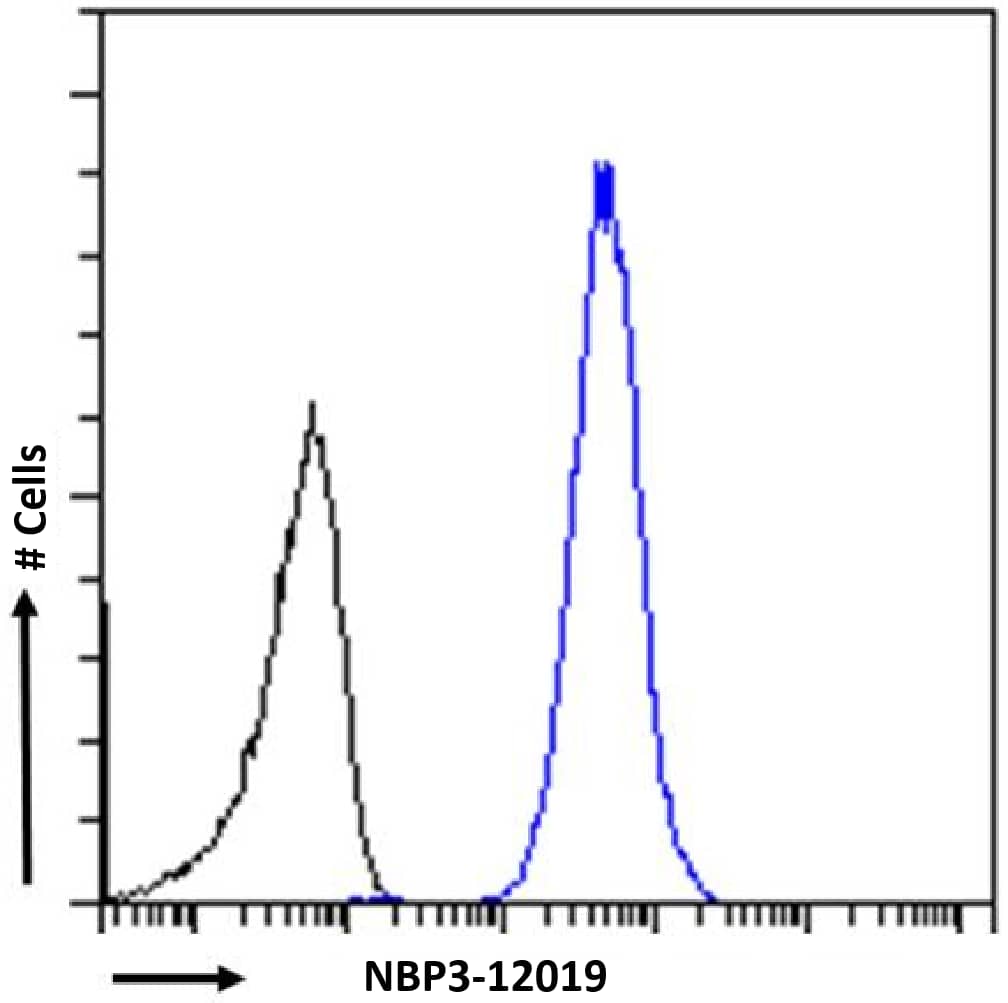 Flow Cytometry: Histone H4 [ac Lys12, ac Lys16, ac Lys8] Antibody (KM-2) - Chimeric - Azide and BSA Free [NBP3-12019] - HeLa cells were fixed using 2% PFA and stained with anti-unknown specificity antibody (isotype control, black line) or NBP3-12019 (blue line) at a dilution of 1:100 for 1h at RT. After washing, the bound antibody was detected using a goat anti-rabbit IgG AlexaFluor 488 antibody at a dilution of 1:1000 and cells analyzed using a FACSCanto flow-cytometer.