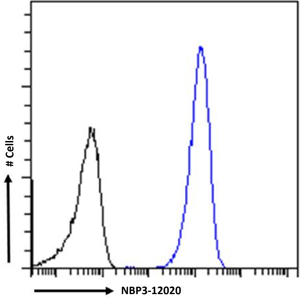 Flow Cytometry: Histone H3 [Trimethyl Lys27] Antibody (BT164) - Chimeric - Azide and BSA Free [NBP3-12020] - HeLa cells were fixed using 2% PFA and stained with anti-unknown specificity antibody (isotype control, black line) or NBP3-12020 (blue line) at a dilution of 1:100 for 1h at RT. After washing, the bound antibody was detected using a goat anti-rabbit IgG AlexaFluor 488 antibody at a dilution of 1:1000 and cells analyzed using a FACSCanto flow-cytometer.