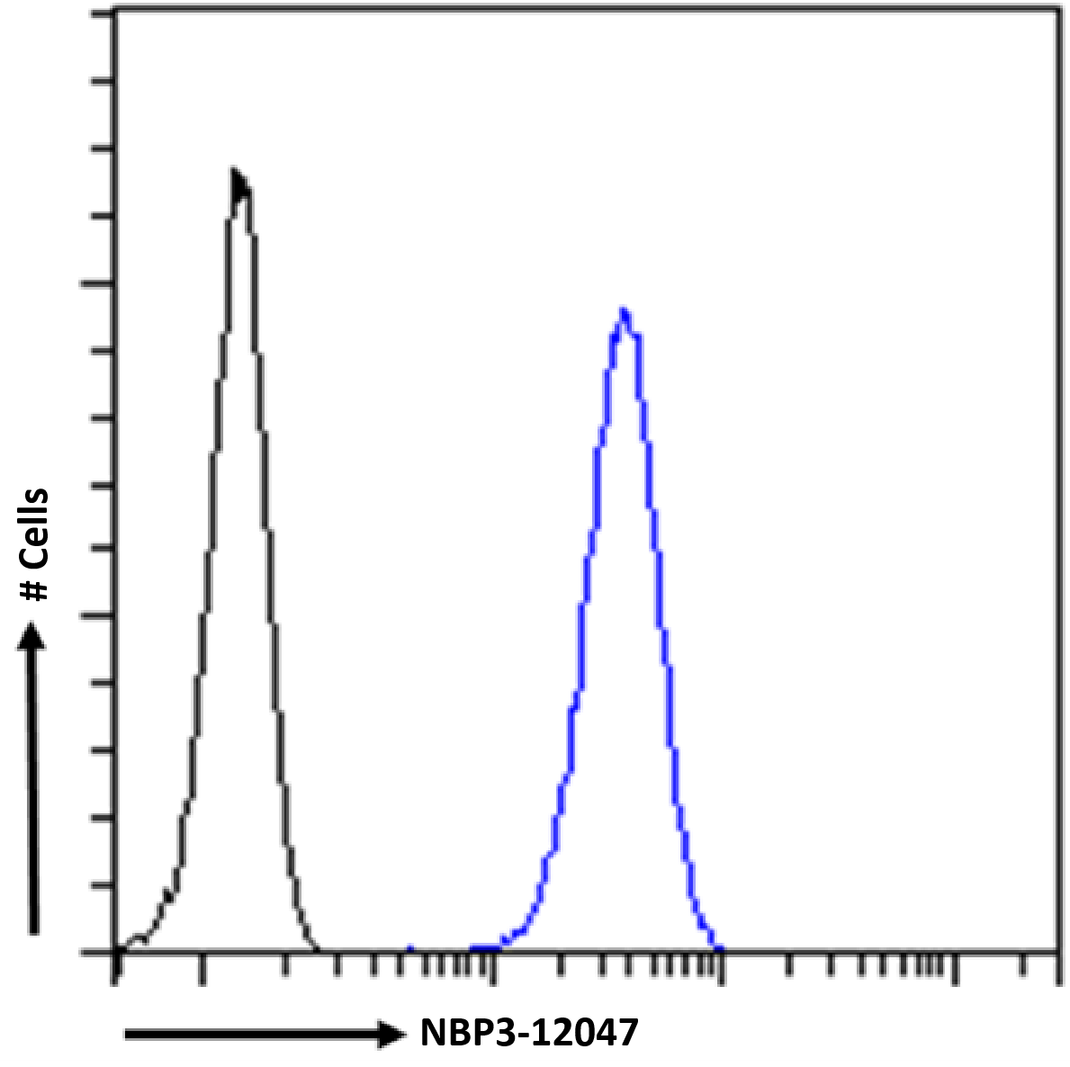 Flow Cytometry: LRPAP Antibody (7F1) - Chimeric - Azide and BSA Free [NBP3-12047] - HeLa cells were fixed using 2% PFA and stained with anti-unknown specificity antibody (isotype control, black line) or NBP3-12047 (blue line) at a dilution of 1:100 for 1h at RT. After washing, the bound antibody was detected using a goat anti-rabbit IgG AlexaFluor 488 antibody at a dilution of 1:1000 and cells analyzed using a FACSCanto flow-cytometer.
