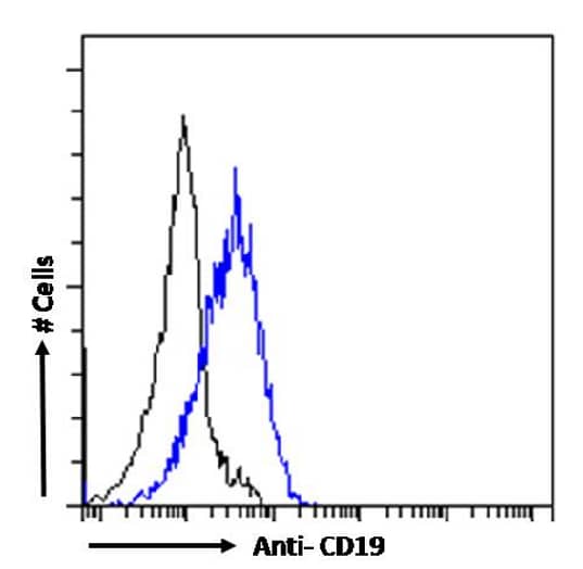 Flow Cytometry: CD19 Antibody (CAT-13.1E10) - Chimeric - Azide and BSA Free [NBP3-12065] - Paraformaldehyde fixed Daudi cells were stained with anti-unknown specificity antibody (isotype control, black line) or NBP3-12065 (blue line) at a dilution of 1:100 for 1h at RT. After washing, the bound antibody was detected using a goat anti-rabbit IgG AlexaFluor 488 antibody at a dilution of 1:1000 and cells analyzed using a FACSCanto flow-cytometer.