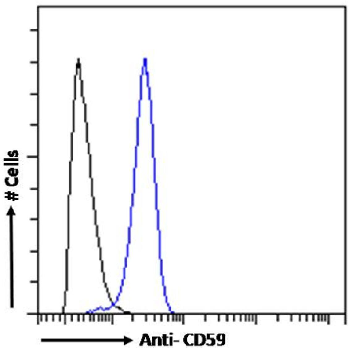 Flow Cytometry: CD59 Antibody (193-27) - Chimeric - Azide and BSA Free [NBP3-12078] - Jurkat cells were fixed using 2% PFA and stained with anti-unknown specificity antibody (isotype control, black line) or NBP3-12078 (blue line) at a dilution of 1:100 for 1h at RT. After washing, the bound antibody was detected using a goat anti-rabbit IgG AlexaFluor 488 antibody at a dilution of 1:1000 and cells analyzed using a FACSCanto flow-cytometer.