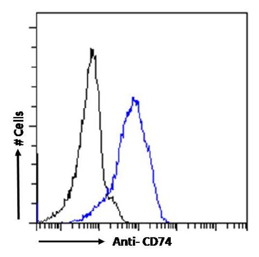 Flow Cytometry: CD74 Antibody (LN-2) - Chimeric - Azide and BSA Free [NBP3-12079] - Paraformaldehyde fixed Daudi cells were stained with anti-unknown specificity antibody (isotype control, black line) or NBP3-12079 (blue line) at a dilution of 1:100 for 1h at RT. After washing, the bound antibody was detected using a goat anti-rabbit IgG AlexaFluor 488 antibody at a dilution of 1:1000 and cells analyzed using a FACSCanto flow-cytometer.