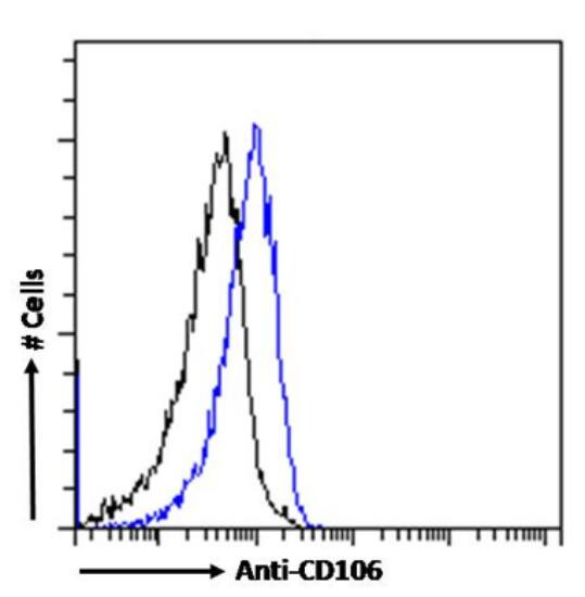 Flow Cytometry: VCAM-1/CD106 Antibody (B-K9 (C106-K9)) - Chimeric - Azide and BSA Free [NBP3-12081] - Paraformaldehyde fixed K562 cells were stained with anti-unknown specificity antibody (isotype control, black line) or NBP3-12081 (blue line) at a dilution of 1:100 for 1h at RT. After washing, the bound antibody was detected using a goat anti-rabbit IgG AlexaFluor 488 antibody at a dilution of 1:1000 and cells analyzed using a FACSCanto flow-cytometer.