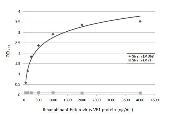 ELISA: Enterovirus D68 VP1 Antibody (GT11610) [NBP3-13557] - Sandwich ELISA detection of recombinant full-length VP1 protein(s) derived from different strains of Enterovirus (ie., D68; 71) using antibodies as below. Capture: Enterovirus D68 VP1 antibody [GT11610] (NBP3-13557) (5 ug/mL) Detection: Enterovirus D68 VP1 antibody [HL1997]  (1 ug/mL)