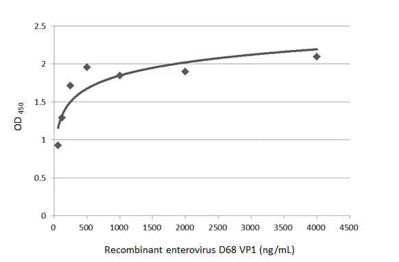 Indirect ELISA analysis was performed by coating the plate with recombinant full-length enterovirus D68 VP1 (4000-62.5 ng/mL). Coated protein was probed with Enterovirus D68 VP1 antibody [GT11610] (NBP3-13557) (1 ug/mL). Goat anti-mouse IgG antibody (HRP)  (1:10000) was used to detect the bound primary antibody. 