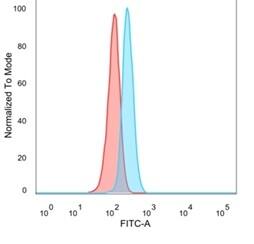 Flow cytometric analysis of PFA-fixed HeLa cells. NFIA Antibody (PCRP-NFIA-2C6) - Azide and BSA Free followed by goat anti-mouse IgG-CF488 (blue); isotype control (red).