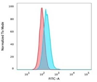 Flow Cytometry: p40/deltaNp63 Antibody (P40/4396R) - Azide and BSA Free [NBP3-14050] - Flow cytometric analysis of PFA-fixed HeLa cells. p40/deltaNp63 antibody (P40/4396R) followed by goat anti-mouse IgG-CF488 (blue); isotype control (red).