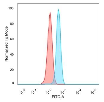 Flow cytometric analysis of PFA-fixed HeLa cells. TFIIB Antibody (PCRP-GTF2B-1D1) - Azide and BSA Free followed by goat anti-mouse IgG-CF488 (blue); isotype control (red).
