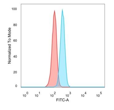Flow cytometric analysis of PFA-fixed HeLa cells. FOXQ1 Antibody (PCRP-FOXQ1-2D2) - Azide and BSA Free followed by goat anti-mouse IgG-CF488 (blue); unstained cells (red).