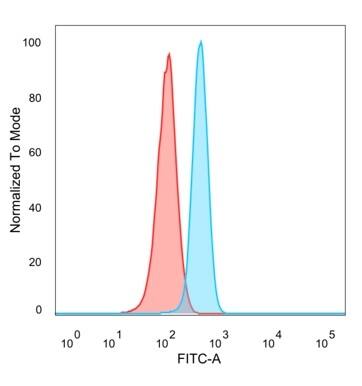 Flow cytometric analysis of PFA-fixed HeLa cells. MITF Antibody (PCRP-MITF-1D9) - Azide and BSA Free followed by goat anti-mouse IgG-CF488 (blue); isotype control (red).